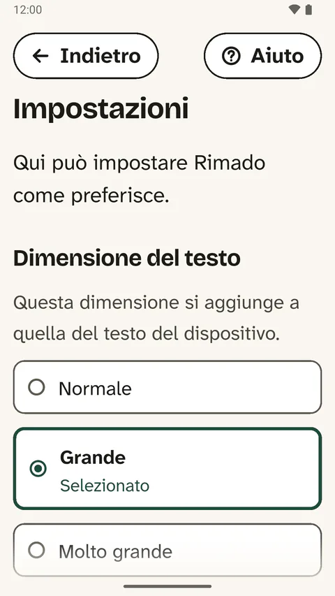 Le impostazioni su uno smartphone: in «Dimensione del testo» è scelto «Grande».